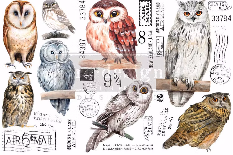 TRANSFER - Re Design Décor Transfers - Owl