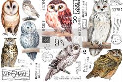 Re Design Décor Transfers® - Owl - LITEN ca 30x46cm