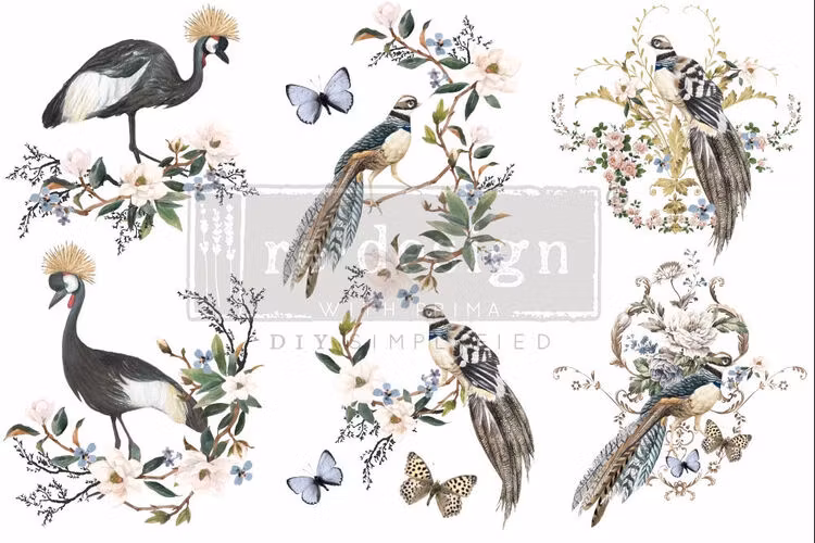 TRANSFER -  Re Design Décor Transfers - Rare Birds