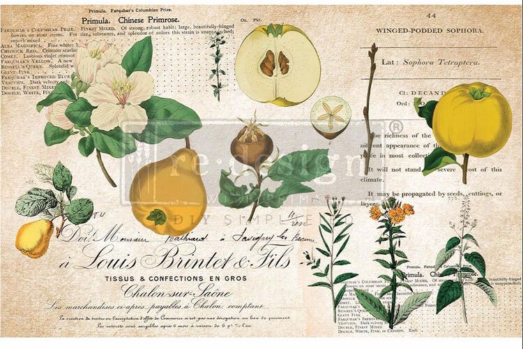 DECOUPGE (decoupagepapper) Re Design Tissue Paper - Primrose
