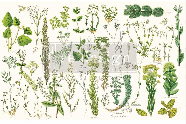DECOUPAGE (decoupagepapper) - Re Design Tissue Paper - Greenery
