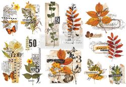 Re Design Décor Transfers® - Foliage Collector - LITEN ca 30x46cm