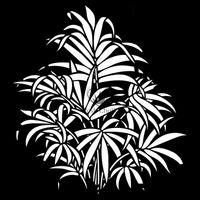 Posh Chalk® Schablon - Leafy Palms 50x50cm