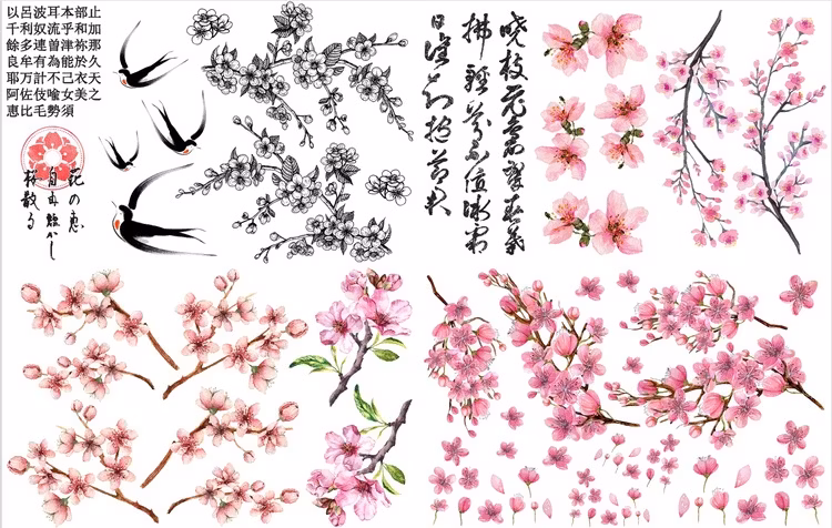 TRANSFER - Belles and Whistles - Cherry Blossom