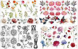 Belles and Whistles Transfer - Vintage Floral ca 61x81cm