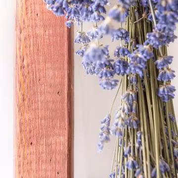 TRÄBETS - Homestead House - Milk Paint Wood Stain - Pacific Redwood