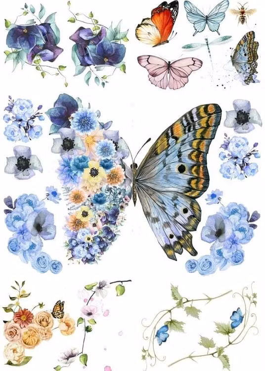 TRANSFER - Mint By Michelle - Metamorphosis