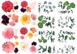 MINT By Michelle Transfer - SPLENDID FLORA - Dubbel (A1x2) ca 119x84cm
