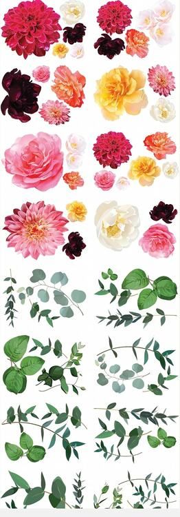 TRANSFER - MINT By Michelle - Splendid Flora - Dubbel