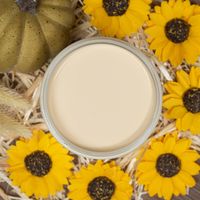 Dixie Belle CHALK Mineral Paint - Limited Edition- CASHMERE (cream)