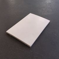Spackelgummi 65x100mm