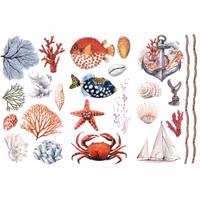 Re Design Décor Transfers® - Amazing Sea Life - LITEN ca 30x46cm