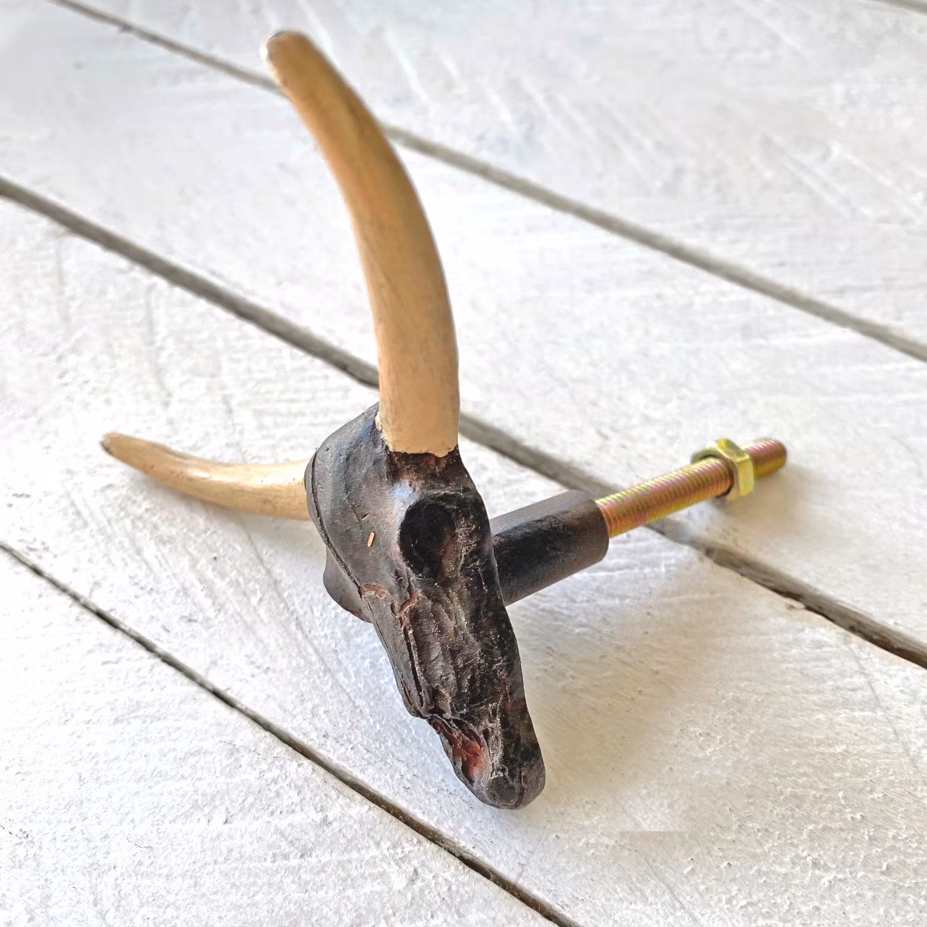 Möbelknopp / krok - Texas Longhorn