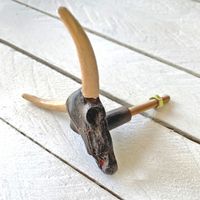 Möbelknopp / krok - Texas Longhorn