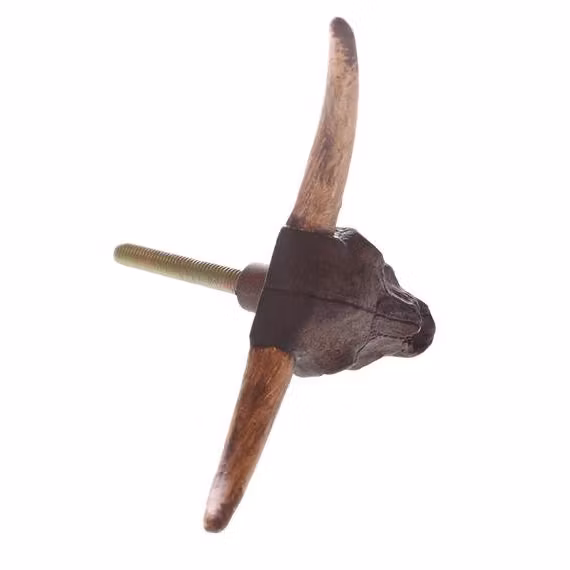 Möbelknopp / krok - Texas Longhorn