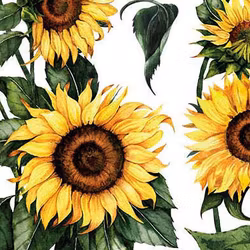 ReDesign Décor Transfers® - Sunflower ca 61x89cm
