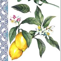 ReDesign Décor Transfers® - Lemon Tree LITEN 30x46cm
