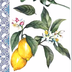ReDesign Décor Transfers® - Lemon Tree LITEN 30x46cm