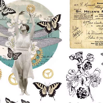 Finnabair - Transfer - Fairy Land