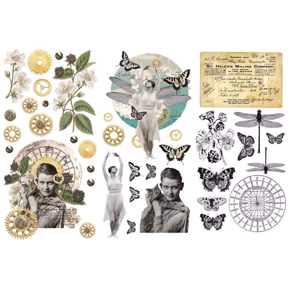 Finnabair - Transfer - Fairy Land