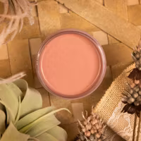 Dixie Belle SILK All-In-One DESERT ROSE