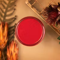 Dixie Belle SILK All-In-One FIERY SKY