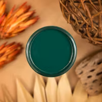 Dixie Belle SILK All-In-One MIDNIGHT GREEN