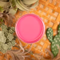 Dixie Belle SILK All-In-One PRICKLY PEAR