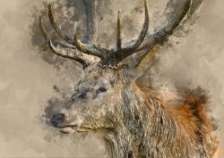 MINT - A3 Decoupagepapper (ca 30x42cm) - YES, DEER