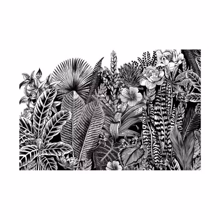 Transfermotiv - Re Design Décor Transfers® - Abstract Jungle