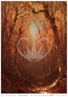 Posh Chalk® AUTUMN CLEARING - A3 Deluxe Decoupage Paper ca 30x42cm