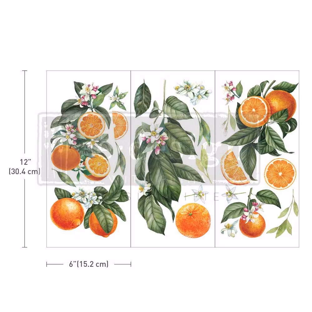 Transfermotiv - Re Design Décor Transfer - Citrus Slice