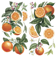 ReDesign Décor Transfers® - Citrus Slice LITEN 30x46cm