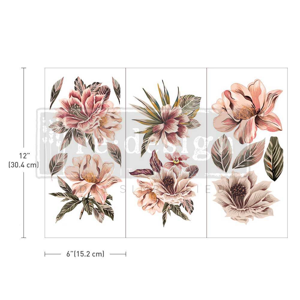 Transfermotiv - Re Design Décor Transfer - Exotica