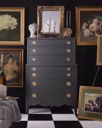 FUSION™ Mineral Paint - Wellington