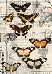Belles and Whistles Rice Papers - Vintage Butterflies - A1 ca 59x84cm