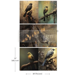 Re Design Tissue Paper PACK - Avian Dreamscape 3st Ark á 48x76cm