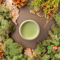 Dixie Belle CHALK Mineral Paint - Weeping Willow