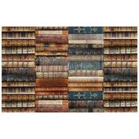 Re Design Tissue Paper - Bibliophile 48x76cm