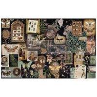 Re Design Tissue Paper - Herbarium Notes 48x76cm