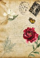 Belles and Whistles Rice Papers - Old Post Card - A3 ca 28x42cm
