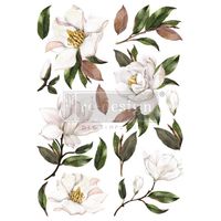 Re Design Décor Transfers® - Magnolia Grandiflora ca 61x89cm