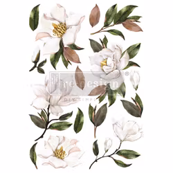 Re Design Décor Transfers® - Magnolia Grandiflora ca 61x89cm