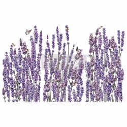 Re Design Décor Transfers® - Champs de Lavende ca 61x89cm