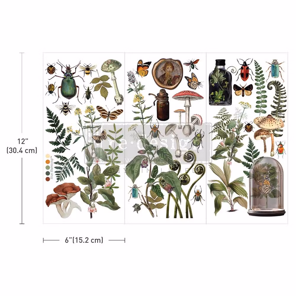 TRANSFERMOTIV - Re Design Décor Transfers - Botanical Archives