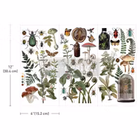 Re Design Décor Transfers® - Botanical Archives - LITEN ca 30x46cm