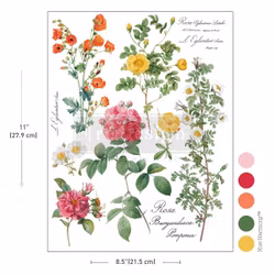 Re Design H2O Transfer - Poetry in Petals - A4 (1 ark)