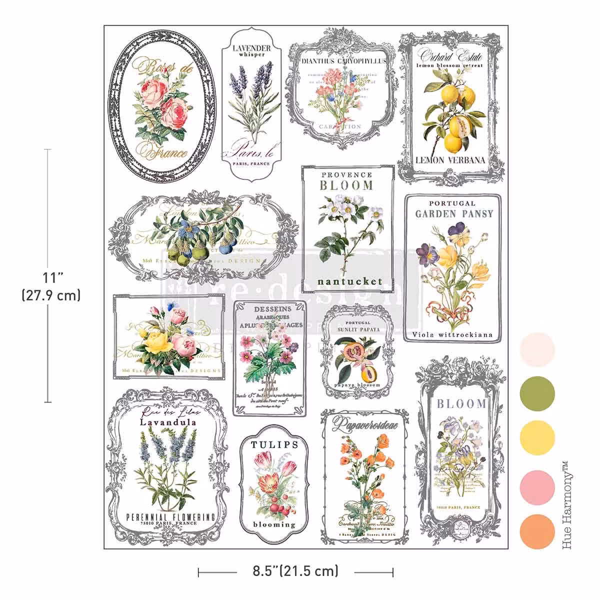 TRANSFERMOTIV - ReDesign H2O Transfer - Whispers & Petals