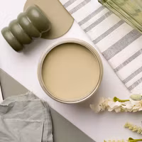Dixie Belle CHALK Mineral Paint - Southern Roots - Olive Wood