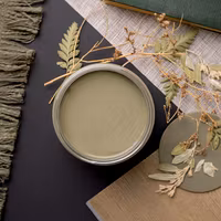 Dixie Belle CHALK Mineral Paint - Southern Roots - Thicket